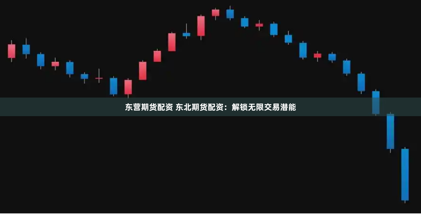 东营期货配资 东北期货配资：解锁无限交易潜能