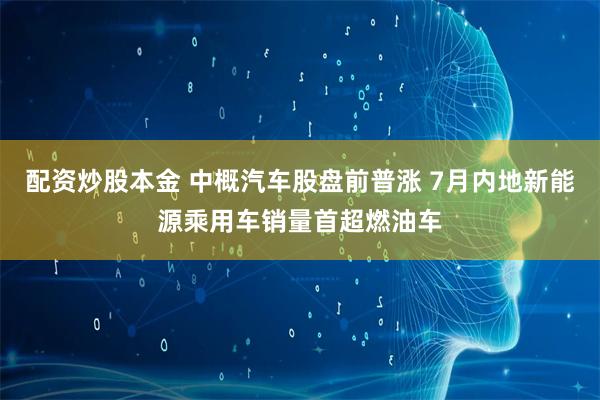 配资炒股本金 中概汽车股盘前普涨 7月内地新能源乘用车销量首超燃油车