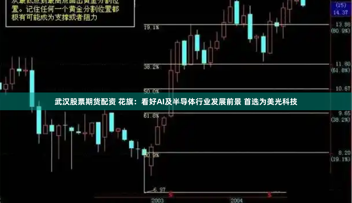 武汉股票期货配资 花旗：看好AI及半导体行业发展前景 首选为美光科技