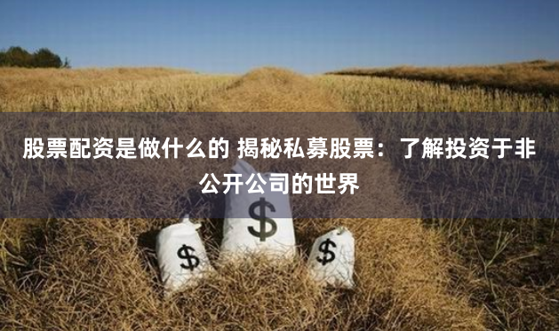 股票配资是做什么的 揭秘私募股票：了解投资于非公开公司的世界