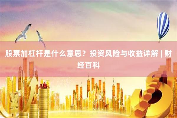 股票加杠杆是什么意思?投资风险与收益详解 | 财经百科