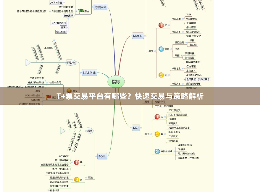 T+票交易平台有哪些？快速交易与策略解析